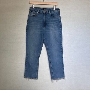 BDG Urban Outfitters Jeans Womens 30 Blue Girlfriend High-Rise Pants Medium Wash